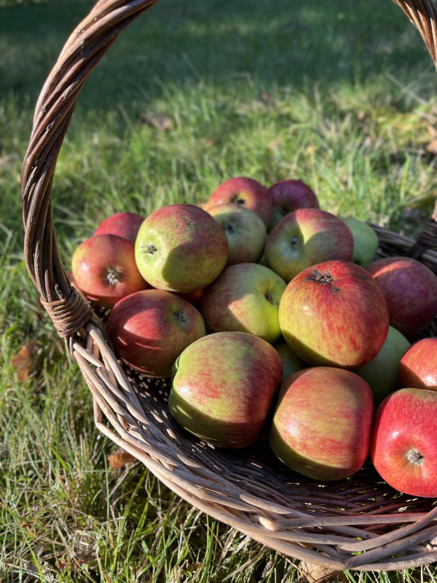 matthiassuess's tweet image. Arbeit lohnt sich doch.