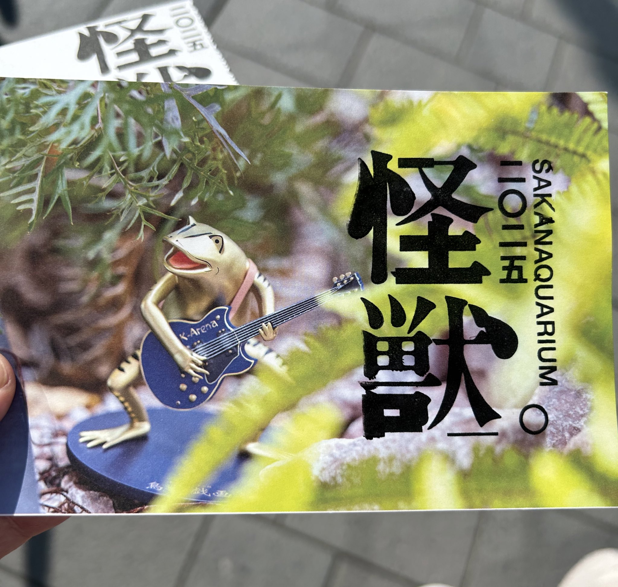 はくさい君 星月夜 ソフビ タキタサキ 新品未開封品 お一人様1点限り】タキタサキ はくさい君ソフビ | TOKYO PiXEL