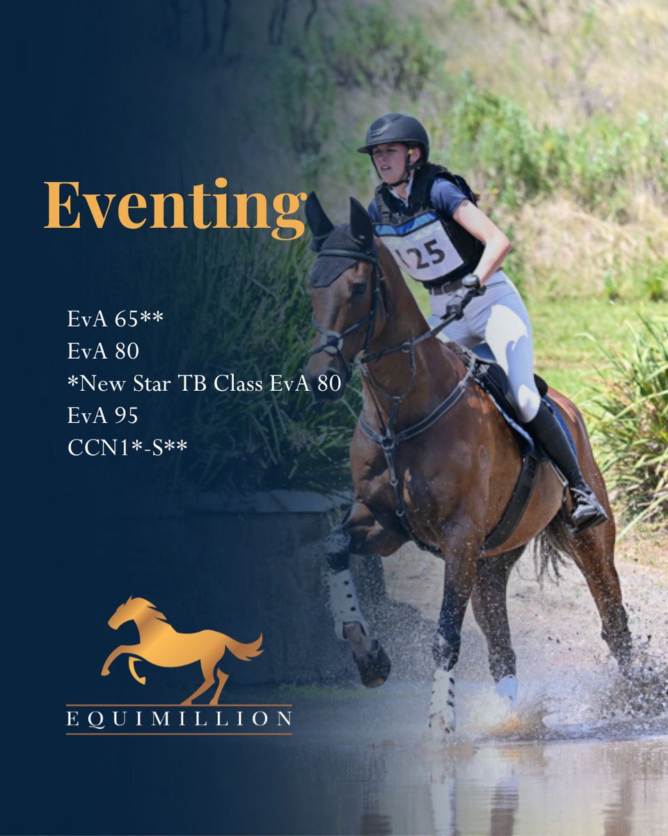 Equimillion tweet media