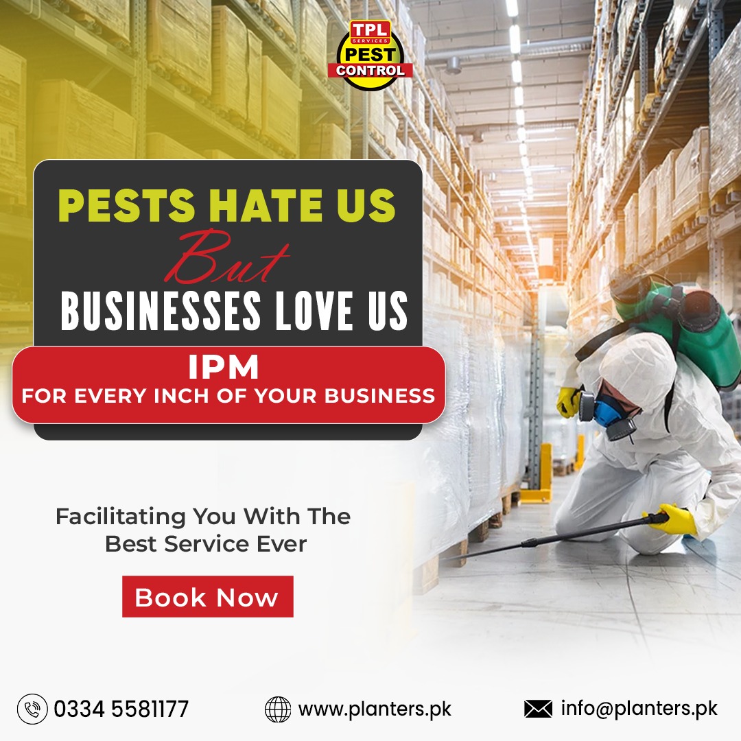 TPLPestControl's tweet image. Protect your business from unwanted pests with TPL Pest Control 🛡️✨.

Official Landline: 0512303380
Official WhatsApp: 03345581177

Our Website: planters.pk

#PestControl #TPLPestControl #BusinessSafety #IPM #PestFreeBusiness #ProfessionalServices #PlantersPK