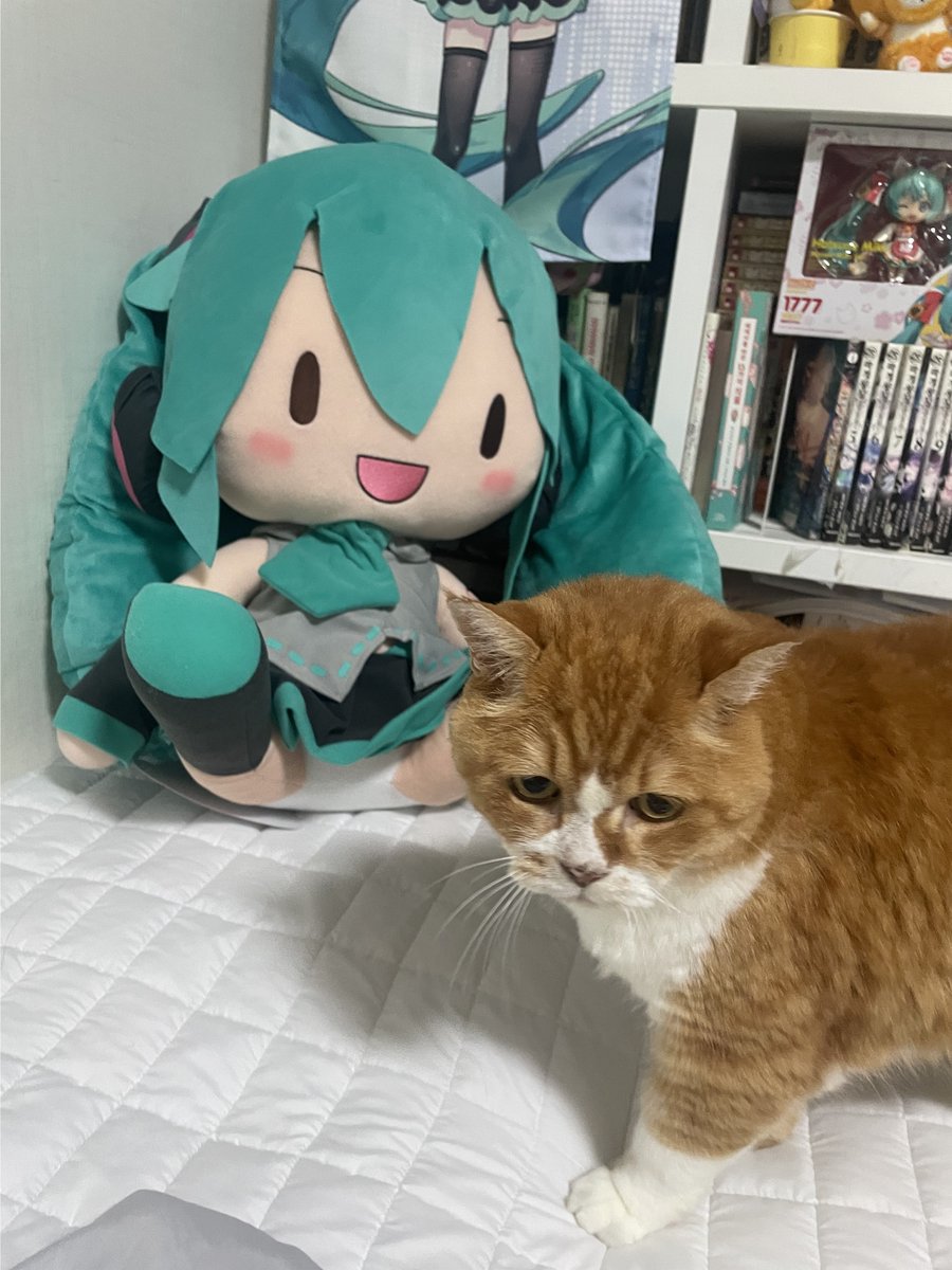 드디어 들였다 진짜 월세내야하는 놈
새상품 구하기힘들었다진짜