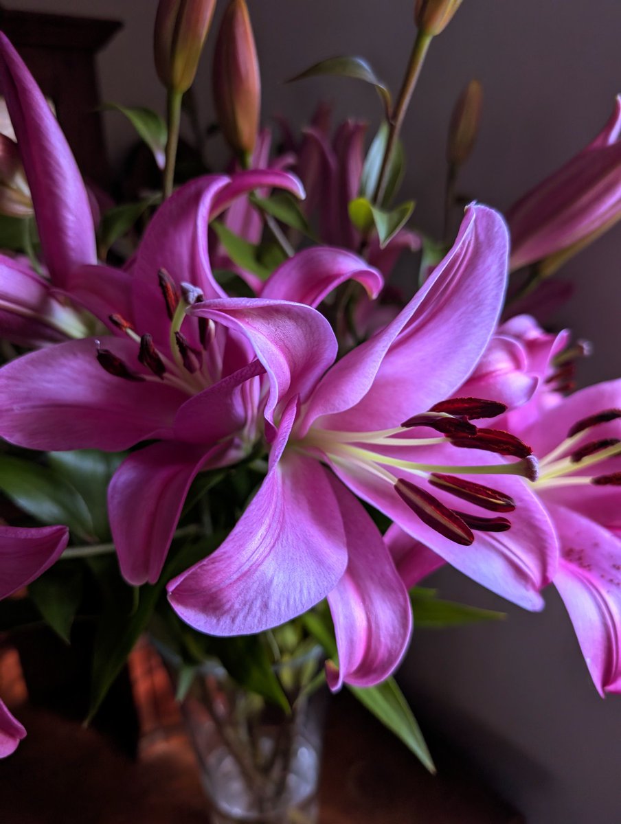 agentsmart's tweet image. Kisses on your pink bits.
#TimelineCleanse