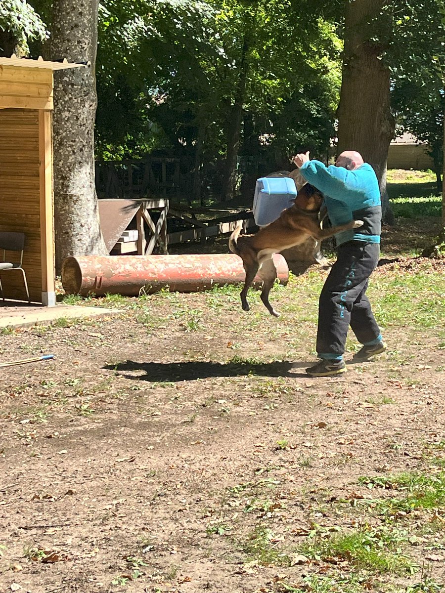 La MGP - la mutuelle des forces de sécurité (@mutuellemgp) on Twitter photo 🐕 À l'occasion de la Journée internationale du #chien, la MGP rend hommage aux héros à quatre pattes de la @policenationale. Depuis 1845, ces agents exceptionnels assurent notre sécurité, avec des missions allant de la recherche à la défense et l’intervention. Merci à eux ! 🫡 🐕 À l'occasion de la Journée internationale du #chien, la MGP rend hommage aux héros à quatre pattes de la @policenationale. Depuis 1845, ces agents exceptionnels assurent notre sécurité, avec des missions allant de la recherche à la défense et l’intervention. Merci à eux ! 🫡