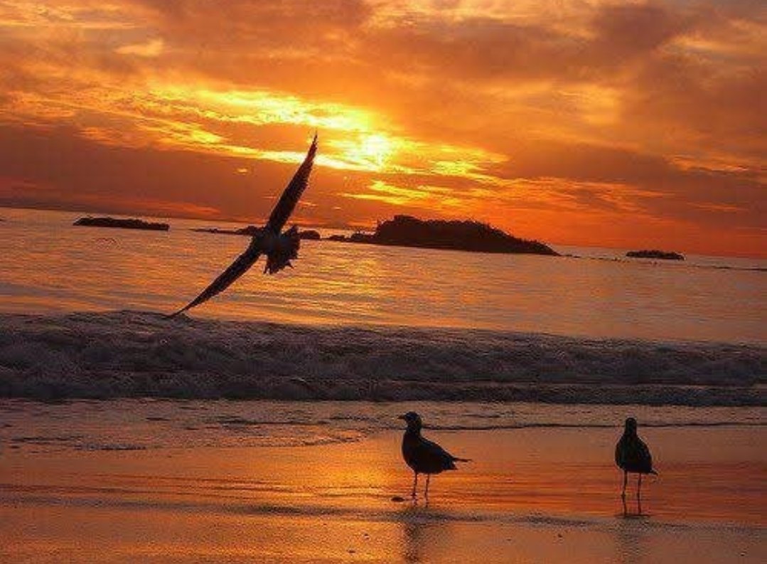 صباح الخير يا وجوه الخير 
تيڨزيرت #تيزي_وزو