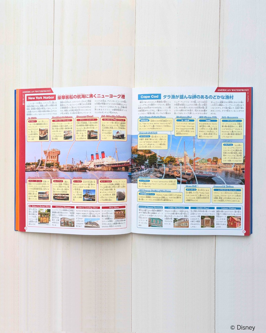 ディズニー卒論 参考図書 ディズニー研究会 : 跡見学園女子大学