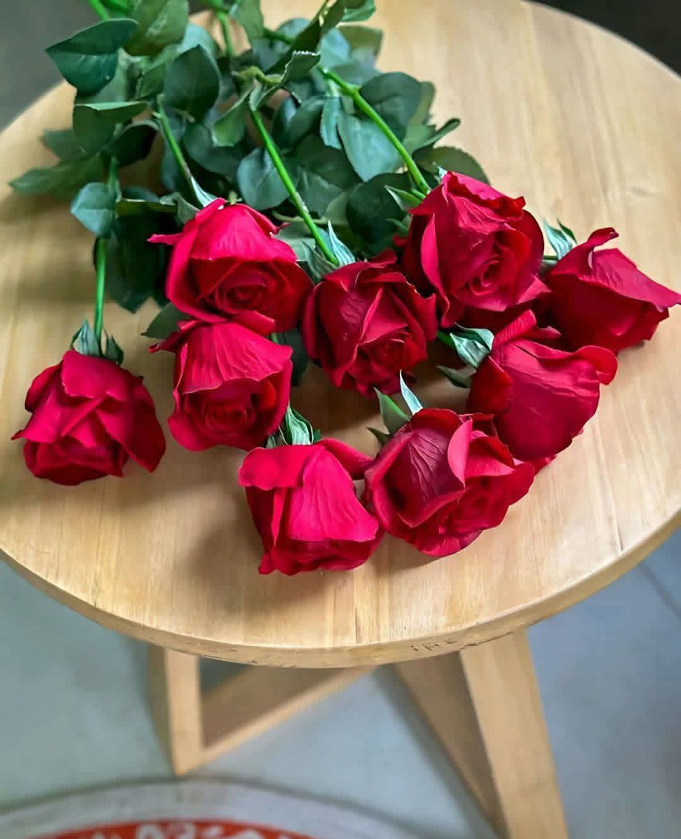 كل يوم جديد هو فرصة ربنا بيهديها لينا عشان نبدأ من جديد.. فابتسم، وخلّي الأمل دايمًا قدام عينيك ..
#صباح_الخيرᅠ