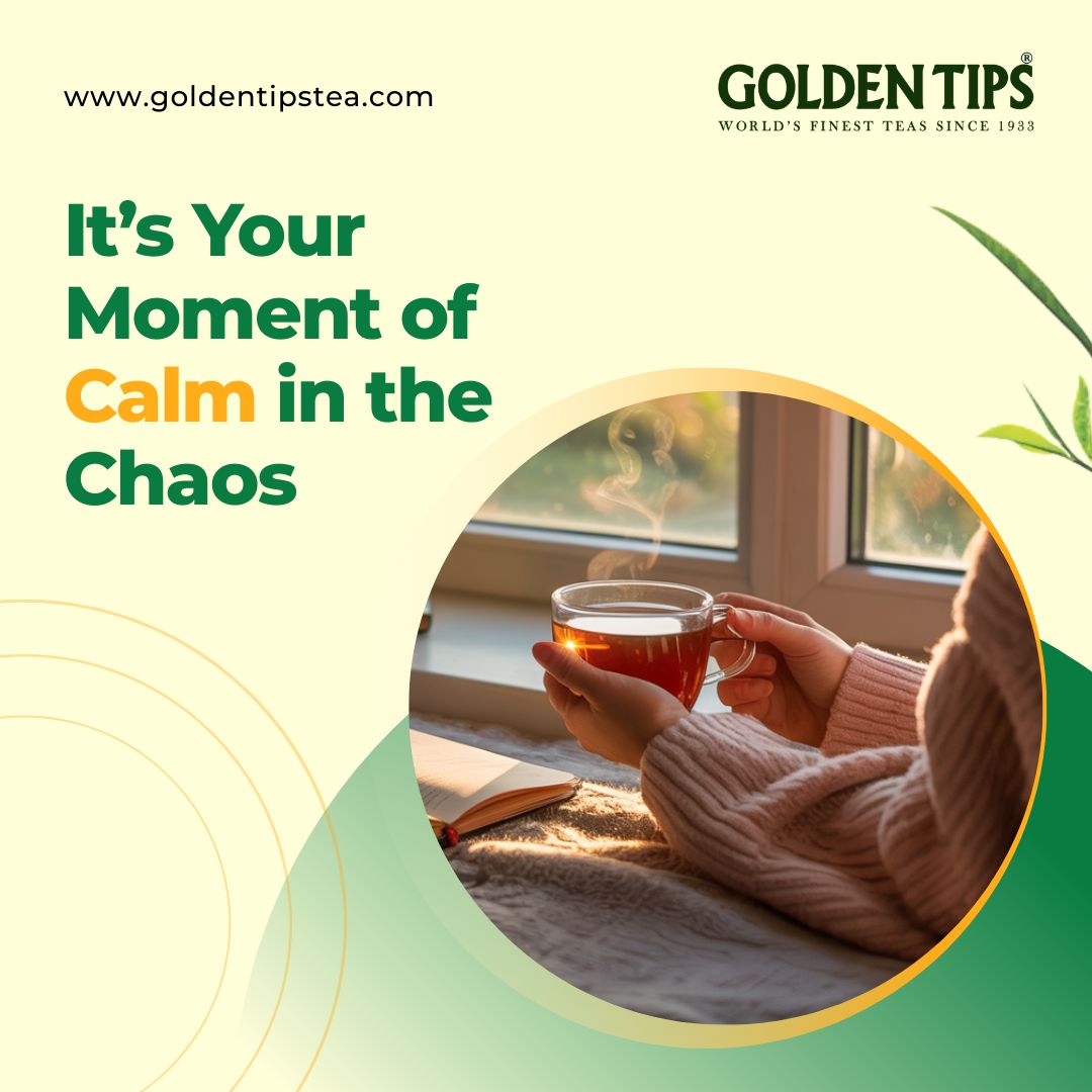 Darjeeling Tea that fits every mood, every season.
Light, flavorful, and rooted in heritage—this is the tea your daily routine deserves.

🛒 Shop now and make it yours: shorturl.at/PA9zp

#DarjeelingTea #GoldenTipsTea #TeaLoversIndia #DailyRituals