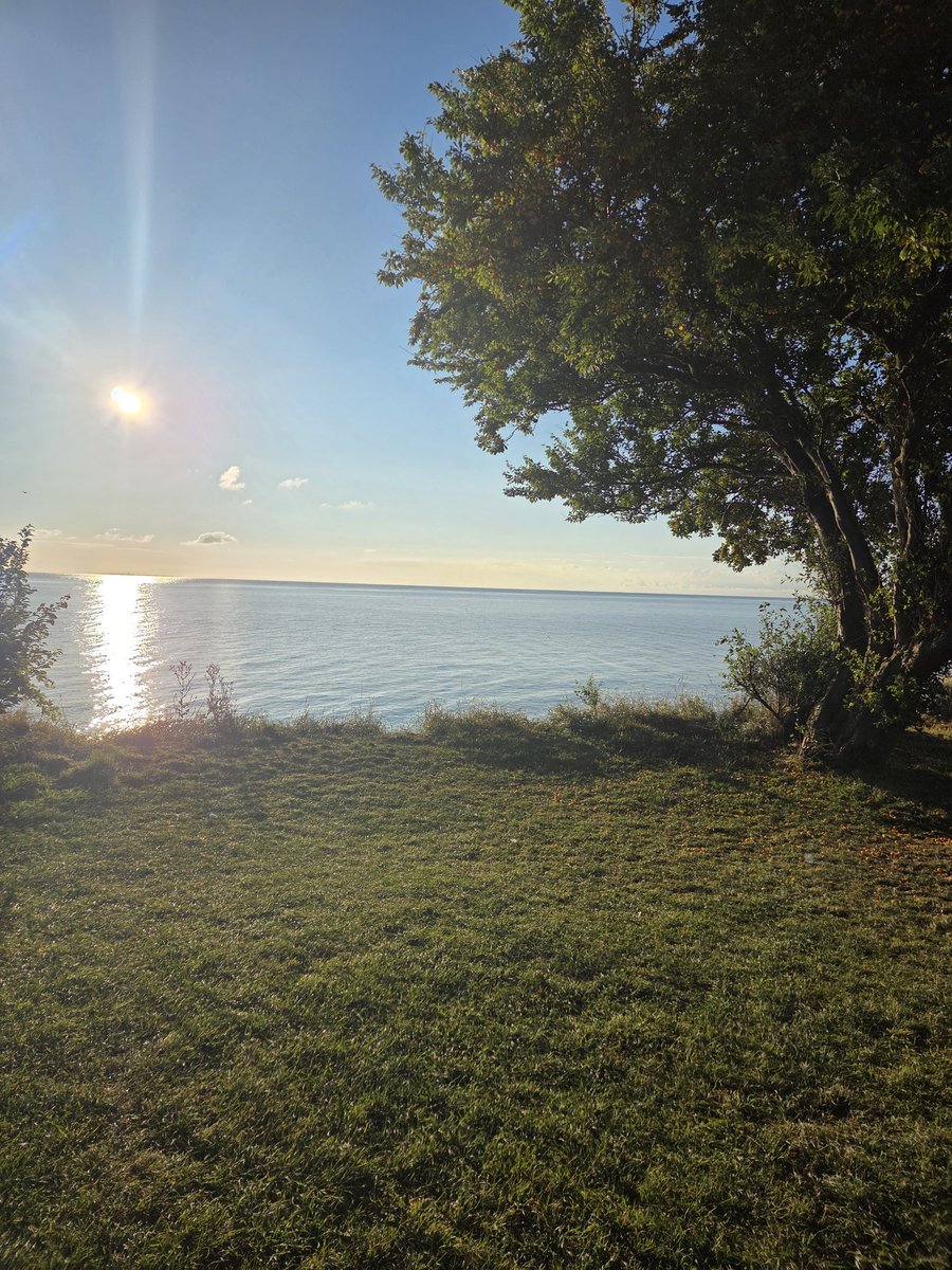 Einen wunderschönen guten Morgen 🥰🥰