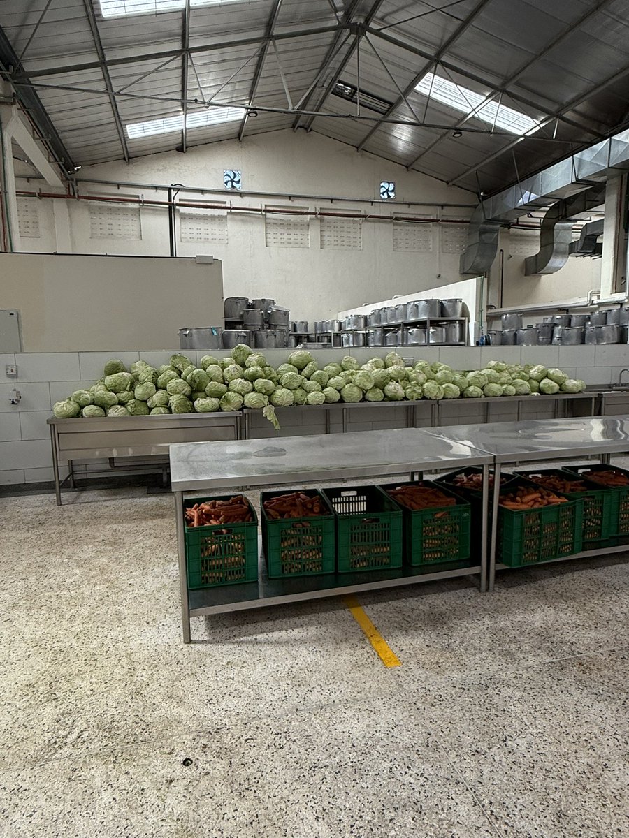 Wawira Njiru (@wawiranjiru) on Twitter photo Back to school at <a href="/Food4Education/">Food4Education</a> 🙂
We cook 1.2 tonnes of cabbage each day from our giga kitchen and 12.5 tonnes across all our locations.
All of it comes from Kenyan small holder farmers.
#Feedingthefuture Back to school at <a href="/Food4Education/">Food4Education</a> 🙂
We cook 1.2 tonnes of cabbage each day from our giga kitchen and 12.5 tonnes across all our locations.
All of it comes from Kenyan small holder farmers.
#Feedingthefuture