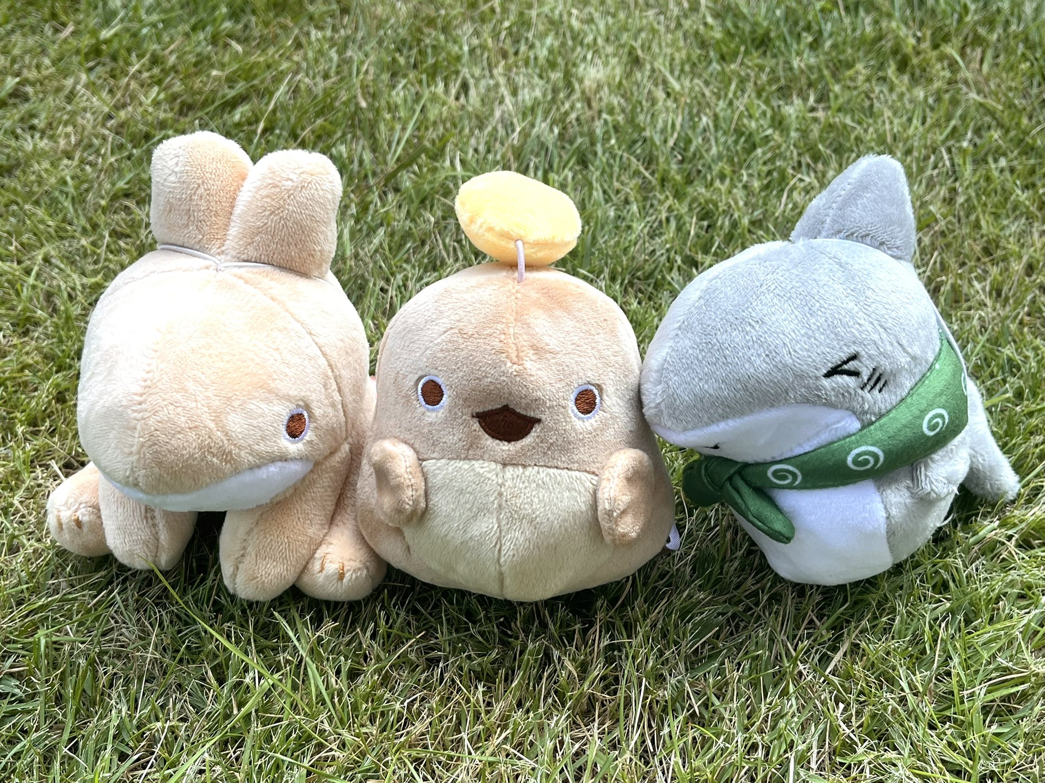 ペンギンボックス@子ザメ7巻&映画化 on X: 