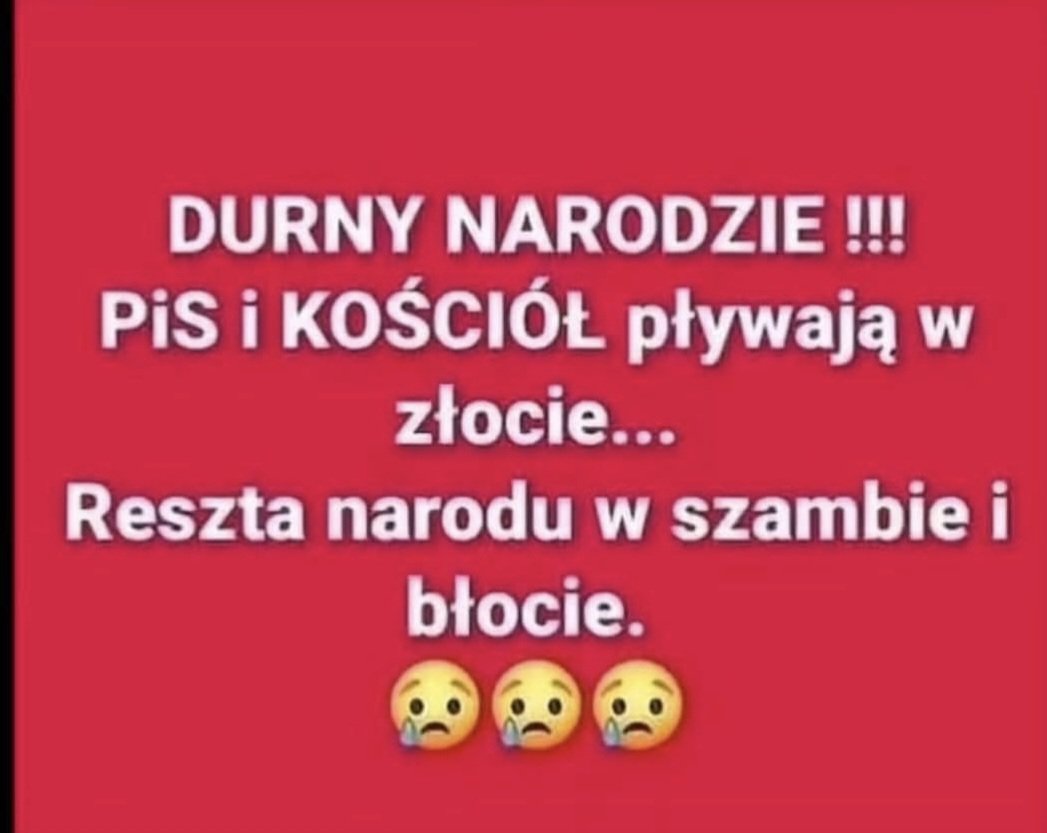 Aneta tweet media