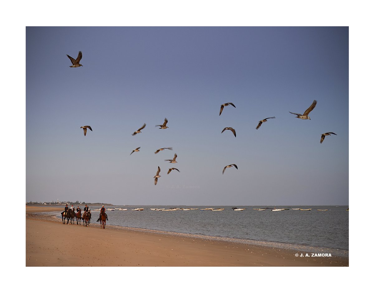 Miradas.
Sanlúcar de Barrameda.
#leicaq2