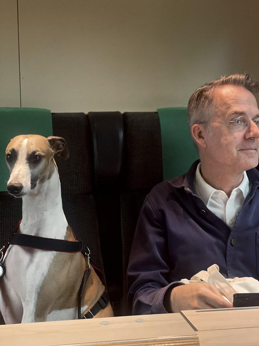 #InternationalDogDay