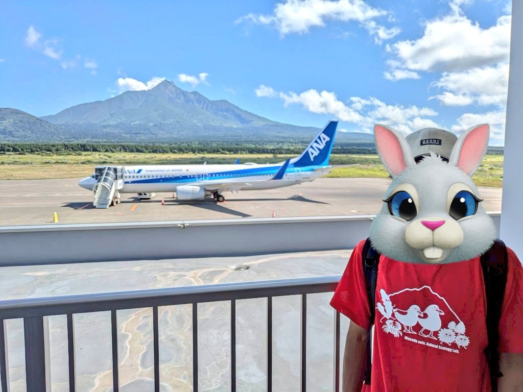 最後の学生さんが利尻を去り、北海道（利尻・枝幸・稚内）での4ヶ月に渡るカモメ調査が終了しました😊
慣れない共同生活に体力勝負の野外調査、人間の都合では動かない野生動物🦅
数ヶ月に及ぶからこその、山あり谷あり🫣
長期だからこその経験を学生さん達はしてきました🥹
全員、成長しました✨