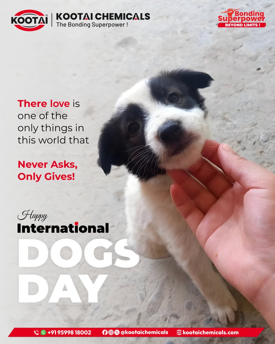 KootaiChemicals's tweet photo. Happy International Dogs Day

A dog’s love is life’s purest gift — it never asks, it only gives.The least we can do is to help them, feed them, and most importantly, love them.

#HappyDogsDay #UnconditionalLove #ForeverFriend https://t.co/mVZ5ej0HGH