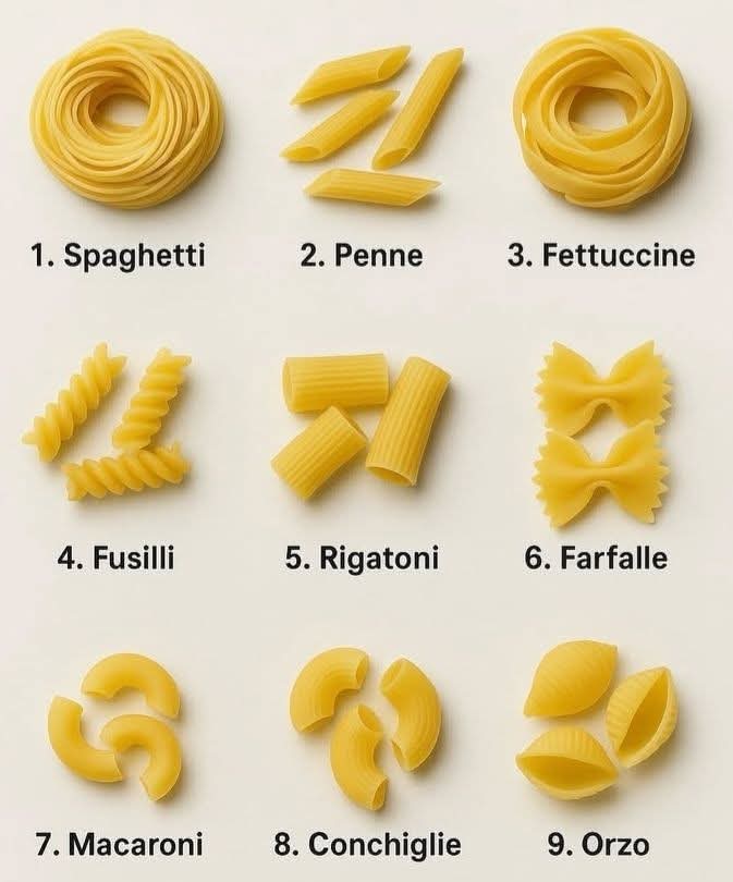 Pasta essentials: recognize every type, by name and by form. 🍝👌