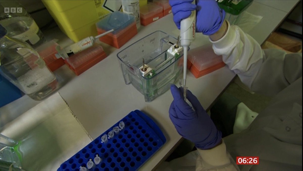 Great to see the progress of research on a potential blood test to help aid early diagnosis of ovarian cancer in the news this morning.

It's so important to continue work in this area - as we know, early diagnosis literally saves lives.

#SpreadTheWordNW
dianneoxberrytrust.org/word