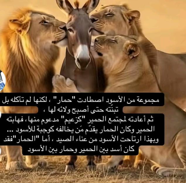 احذر ان تكون مثل هذا