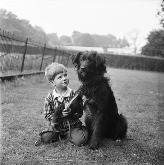 Barnsley Archives & Local Studies (@barnsarchives) on Twitter photo #InternationalDogDay is all the excuse we need to share this 1960s photograph taken at Locke Park
<a href="/FOLP_Barnsley/">Friends@Locke Park</a> #InternationalDogDay is all the excuse we need to share this 1960s photograph taken at Locke Park
<a href="/FOLP_Barnsley/">Friends@Locke Park</a>