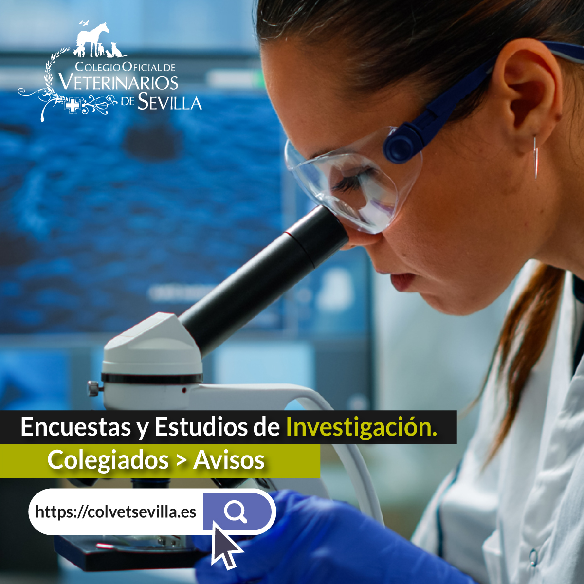 🧬🔬 ¿Estás colegiado en el #ColvetSevilla y quieres participar en estudios de #investigación?

📌 En el apartado Colegiados &gt; Avisos de nuestra web encontrarás los proyectos disponibles.

📥 Si deseas difundir un estudio, escríbenos a
📧 comunicacion@colvetsevilla.es