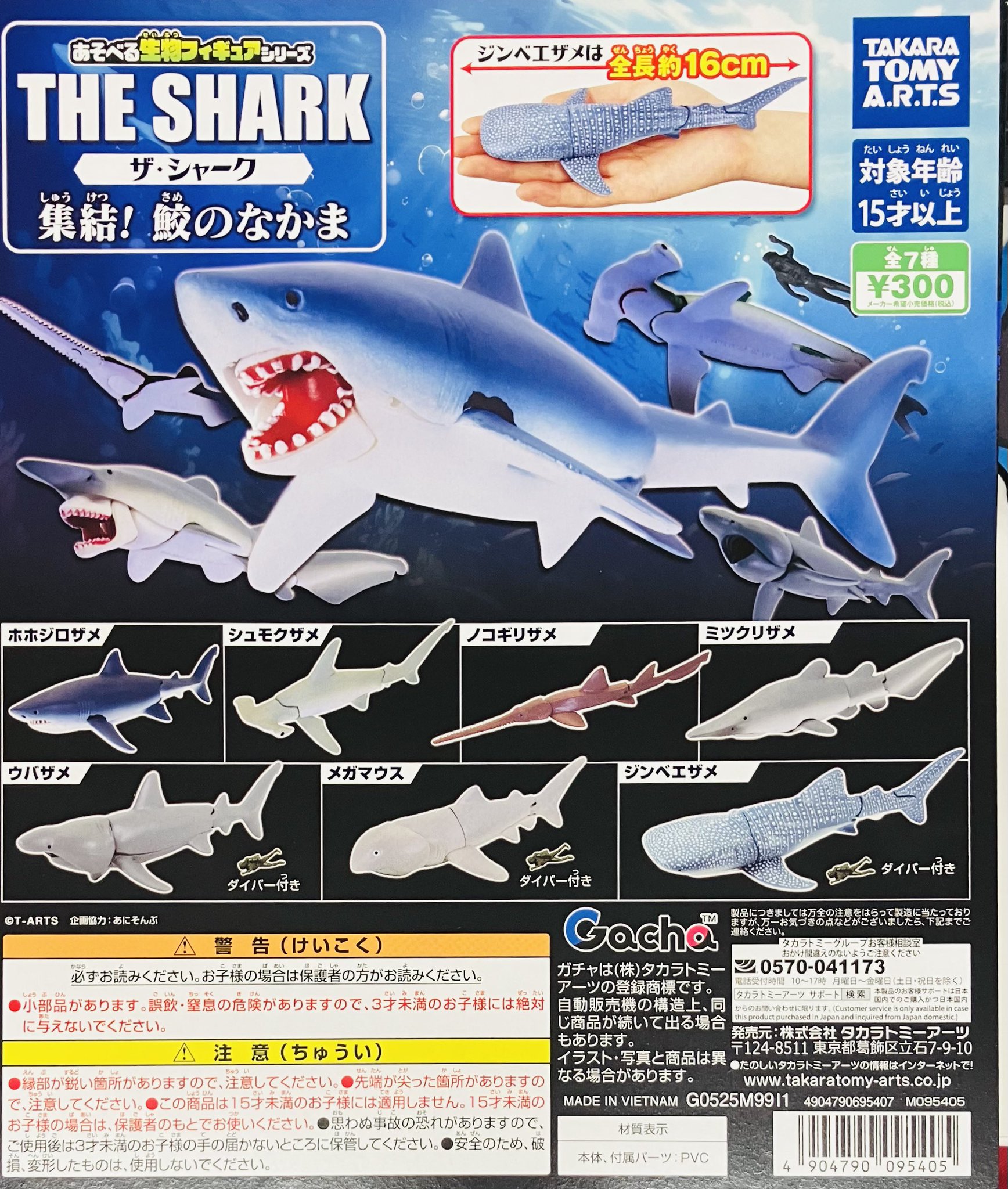 サメの歯まとめ売り箱付き サメの歯まとめ売り箱付き - メルカリ - コレクション