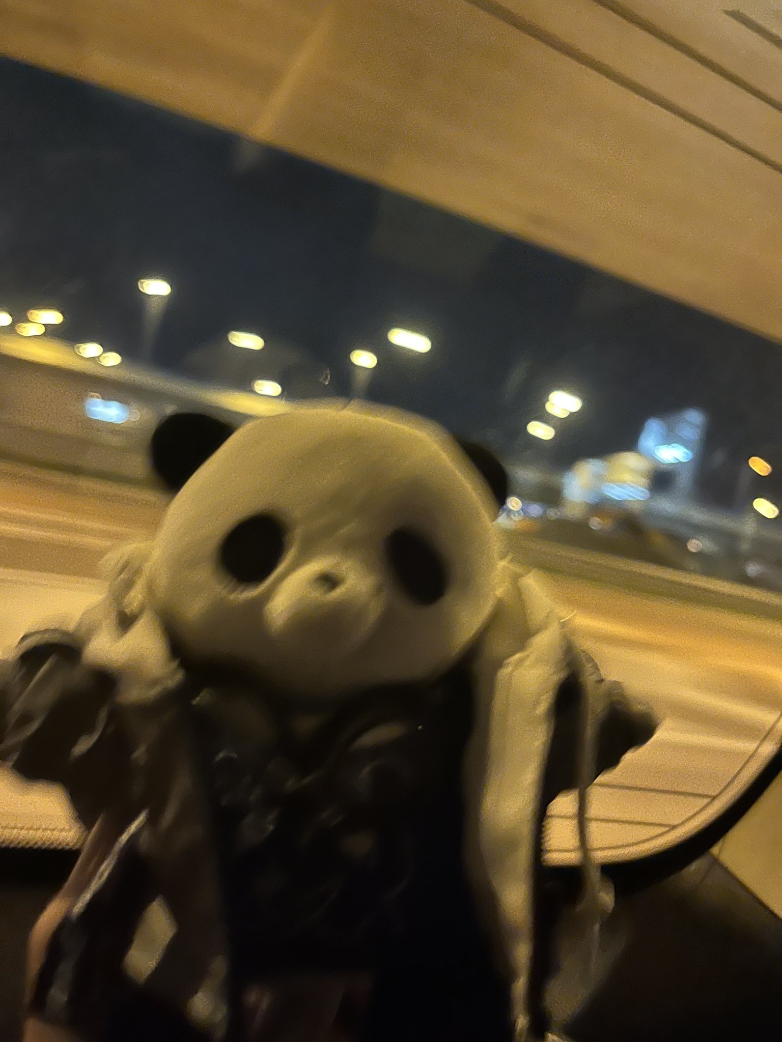 パンダ•*¨*•.¸♬︎ パンダ🐼って日本に今まで何頭も居たけど、 見たことが無い 唯一