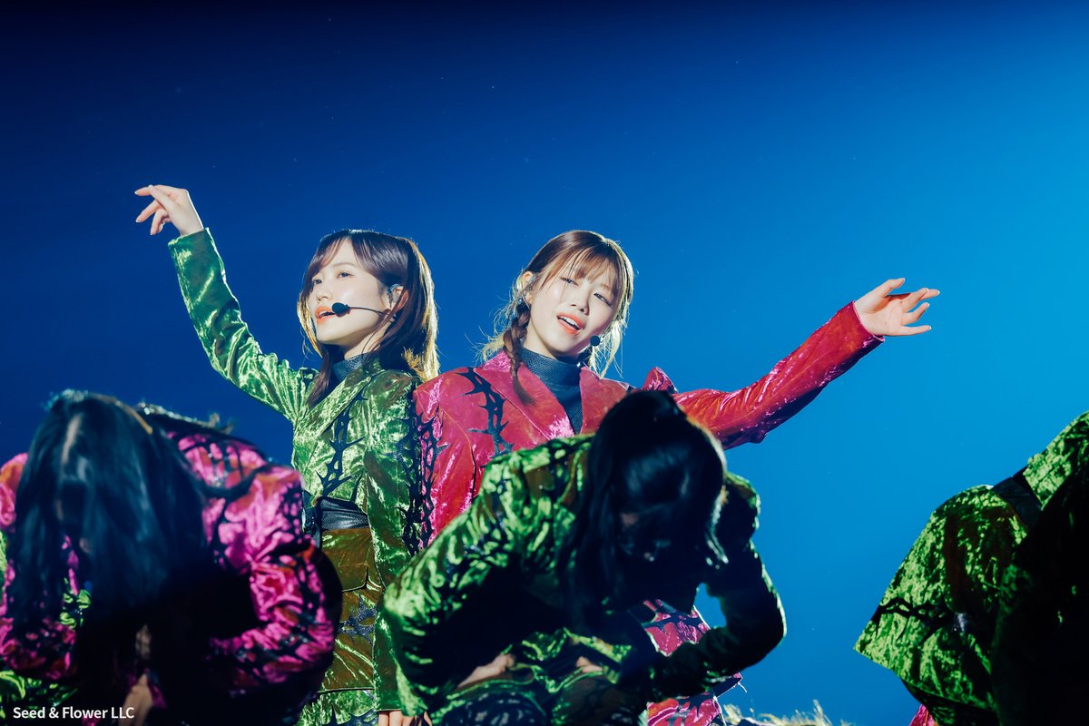 Lemino_live's tweet photo. 8/31(日) 18:00～からリピート配信！
#櫻坂46「5th TOUR 2025 “Addiction”」💞

╋━━
　✨ライブ秘蔵写真を公開✨
　　　　　　　　　　　━━━╋

🌸Leminoは櫻坂46出演作品も充実🌸
▶詳細はこちら
https://t.co/KQwZulCJQC

▶ライブの詳細はこちら
https://t.co/BNisIlXLcj

#櫻坂46_5thTOUR https://t.co/yQS0o09pLU
