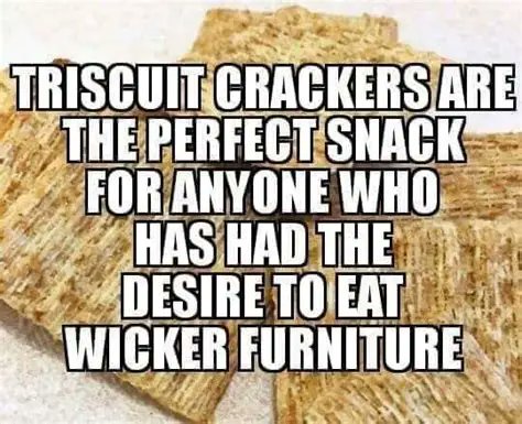 Neilfan12's tweet image. 🟫🪑 #Triscuit #Eat #Wicker 🪑🟫