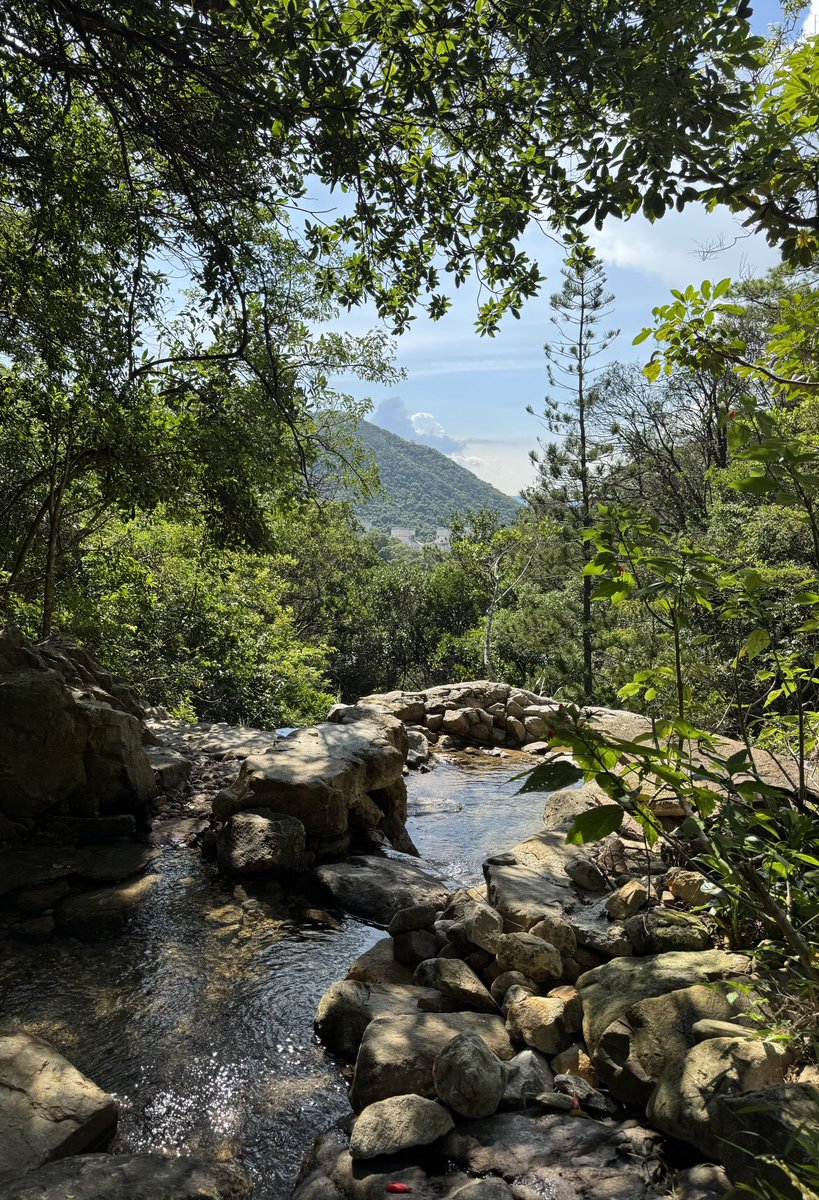 ari 🎏 tweet media