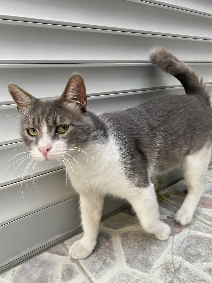 Herkese günaydın 🌞 güne böyle başladık