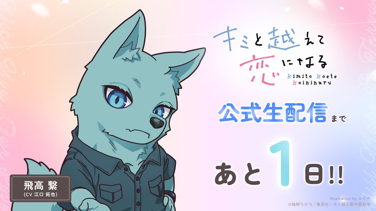 📺TVアニメ『キミと越えて恋になる』
　公式生配信🎥放送直前SPまで…

　　／
🐺  あと1️⃣日!!
　　＼

飛高繋役 #江口拓也 さんが
番組に生出演✨

▷YouTube Liveにて
【明日 8/29(金) 20時30分】開始📢ˎˊ˗
🔗 youtube.com/live/cSgKI11Tc…

#キミ越えアニメ