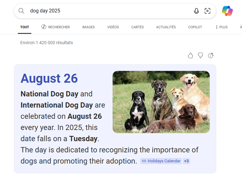 today is the international dog day
 so happy dog day !
