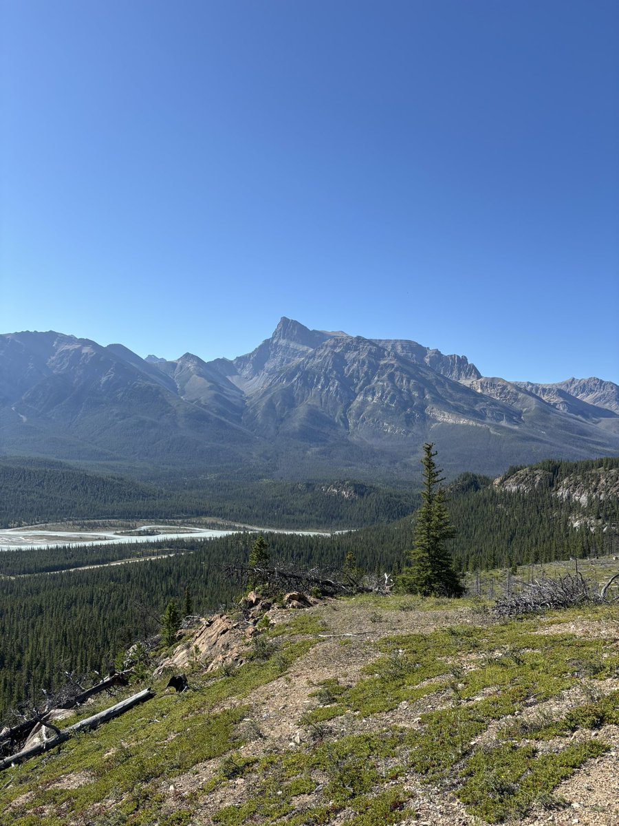 journey to the middle cambrian this week!