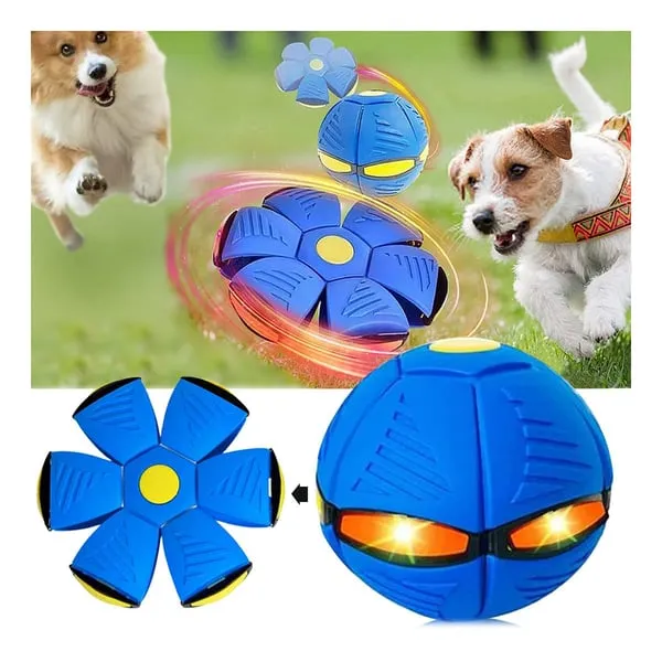 BaztaSt's tweet photo. Bounce it, press it, or launch it—the Morphing Sphere &amp; Disc Toy transforms playtime with LED lights, high rebound, and endless fun. https://t.co/hwEFOC7JMc