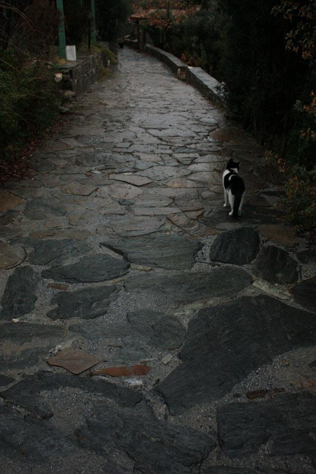 Geçen yıl çok başarılı geçen 7,5 aylık Temel Matematik Eğitimi programına matematiğe meraklı bekleriz. Lisans ve lisansüstü seviyesinde. 7,5 aylık bir kapanma, sadece doğa ve matematik. nesinkoyleri.org/events/2025-ma…
