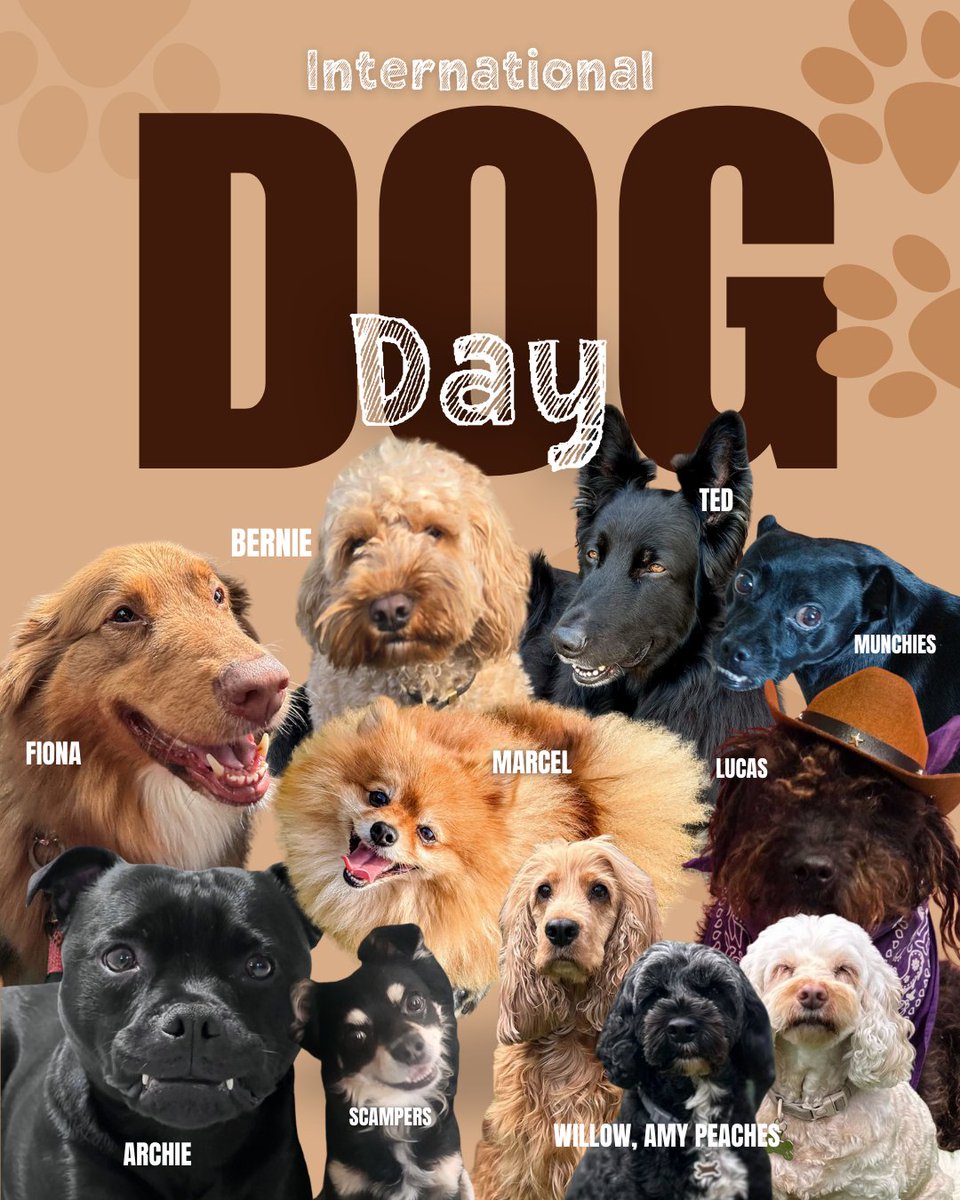 🐶✨ HAPPY INTERNATIONAL DOG DAY! ✨🐶

Meet the stars of Joffe Books — our four-legged team members who keep us smiling (and occasionally stealing snacks):

Show us your dogs in the comments — we’d love to meet them! 🐾📚