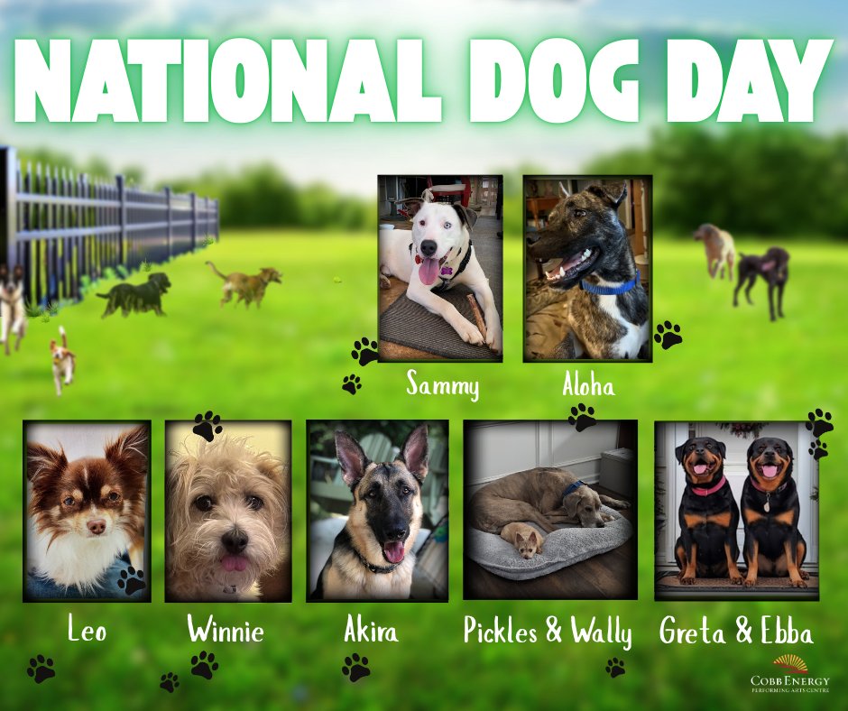 Happy National Dog Day from the Cobb Energy Centre crew! We’re excited to share a few of the pups who bring us joy every day — including one (Aloha) who is being fostered right now and is looking for her fur-ever home! 

#NationalDogDay #cobbenergycentre  #dogsrulecatsdrool