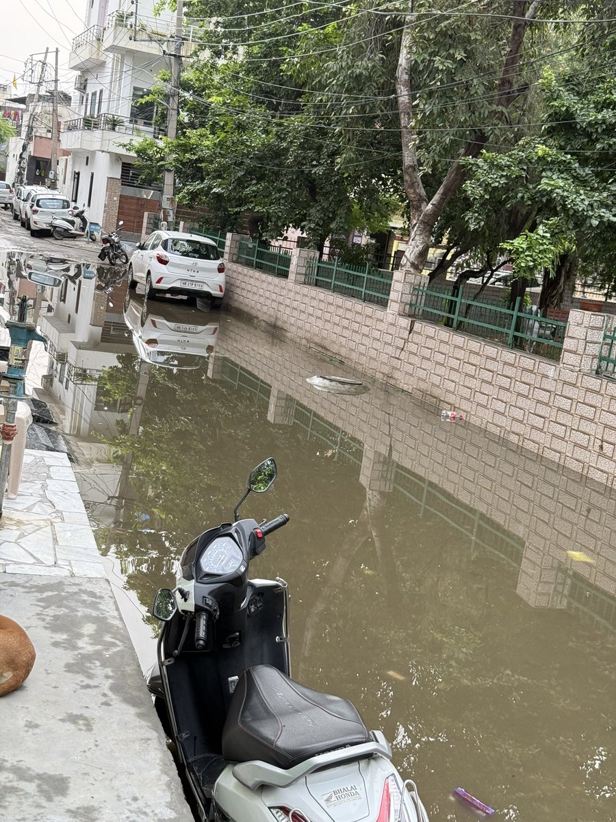 RohitSoni557's tweet photo. हाउसिंग बोर्ड सेक्टर 6 हांसी की गलियों का हाल देख लीजिए @NayabSainiBJP @cmohry @PMOIndia @DiprHaryana @BhayanaVinod अगर सेक्टर का ये हाल है तो कॉलोनी का क्या हाल होगा ?
जल भराव की समस्या से बहुत परेशान हो चुके है ऊपर से सीवर भी इसी पानी में बैक मार कर पानी से गंदी गंध भी आ रही है https://t.co/Z2j638bra4