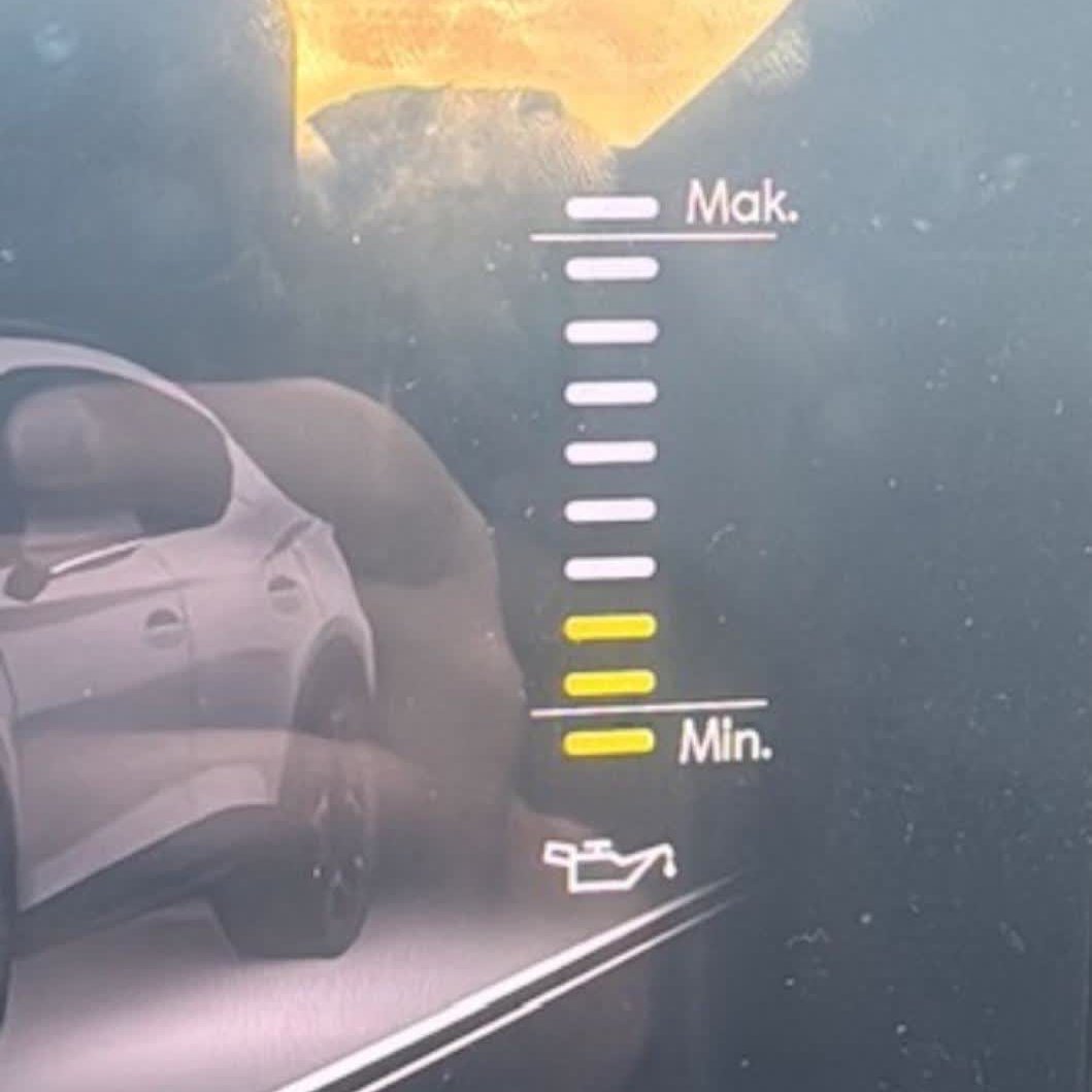 denetle! tweet media