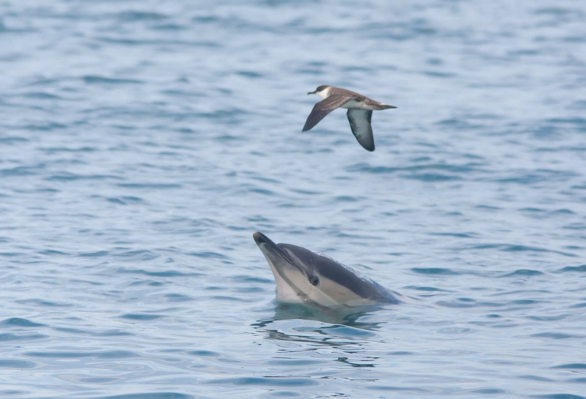 Stefan McElwee tweet media