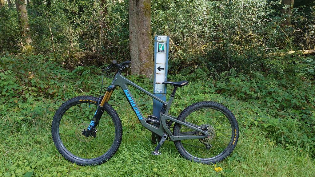 The Bronson in its natural habitat at kirroughtree