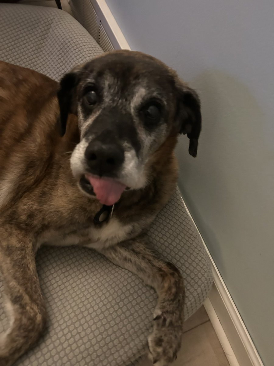 Chad Merritt tweet media