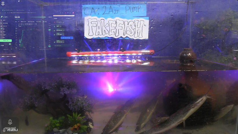 FAKEFISH_SOL's tweet photo. REAL FISH? FAKE FISH? 🐟❓
ONLY ONE WAY TO FIND OUT…
JOIN $FAKEFISH NOW https://t.co/XGZHJgLnkN