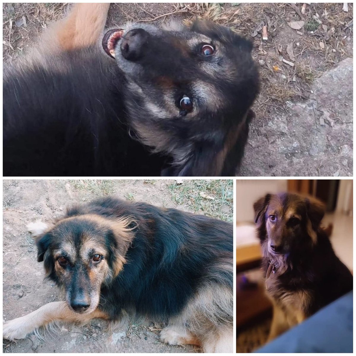 Ημέρα είσαι η ζωή μου η αναπνοή μου
Φλωρα