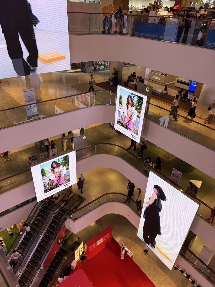 Rashmikamandannafan tweet media