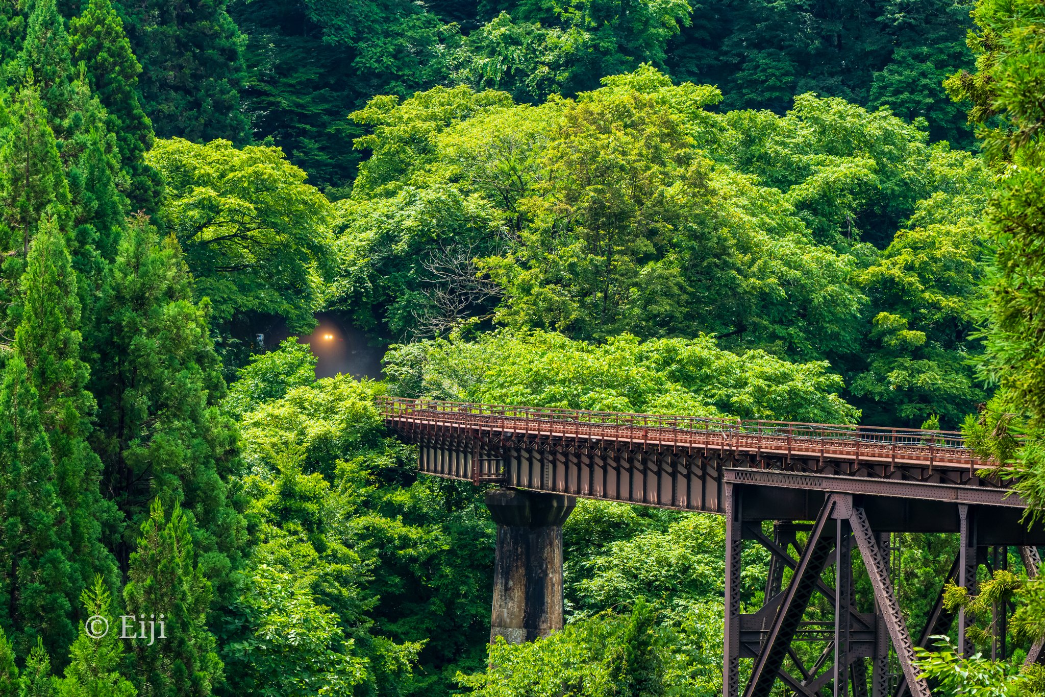 No. 1【初夏の紀の川里風景】 No. 1【初夏の紀の川里風景】 No. 1
