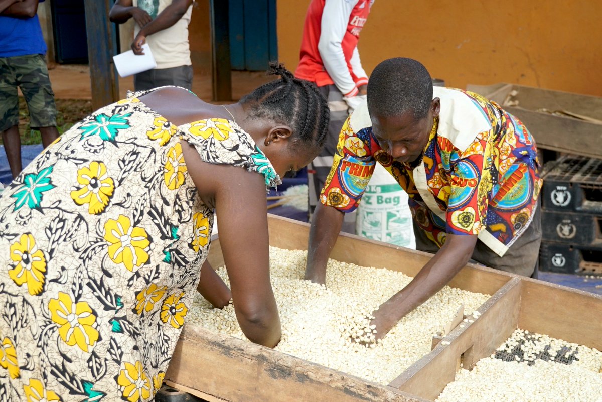 WFP_SouthSudan's tweet photo. 🌾@WFP’s Smallholder Agricultural Market Support programme helps farmers in #SouthSudan improve food, nutrition &amp; income.

By reducing post-harvest losses and improving market access, SAMS also strengthens rural livelihoods. https://t.co/s4IOfuo9wT