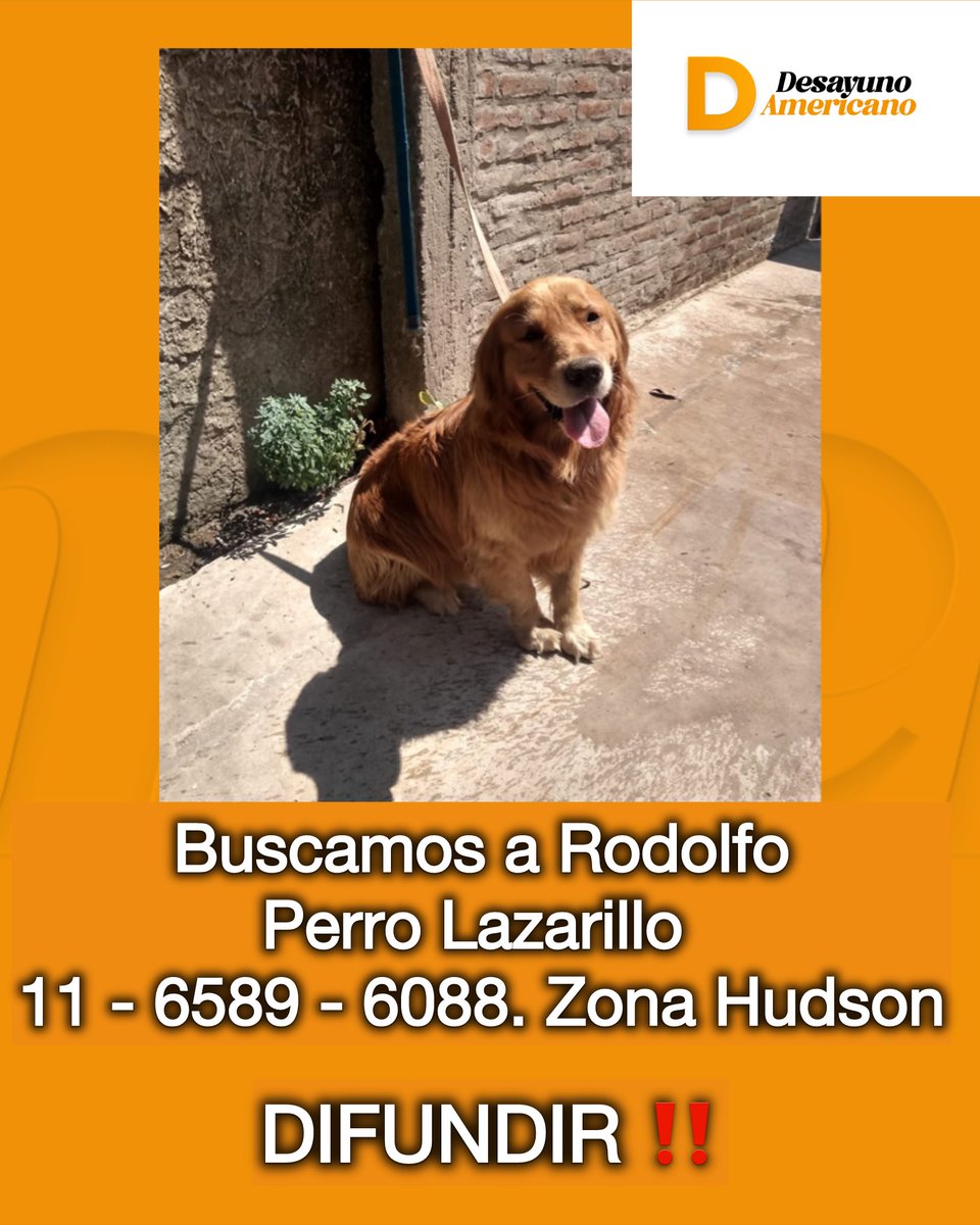 🔴 URGENTE: Buscamos a Rodolfo. Dylan es no vidente, tiene 8 años y lo necesita.  
Sí lo viste comunícate al 11 - 6589 - 6088.  Zona Hudson
DIFUNDIR ‼️

#desayunoamericano con <a href="/PamelaDav/">Pame</a>  por <a href="/AmericaTV/">América TV</a>