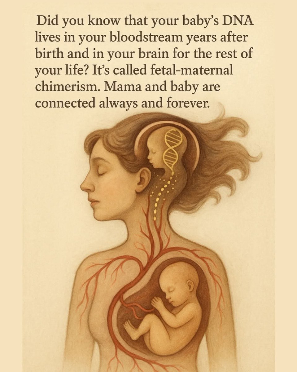 Laura (@livingsignofgod) on Twitter photo 