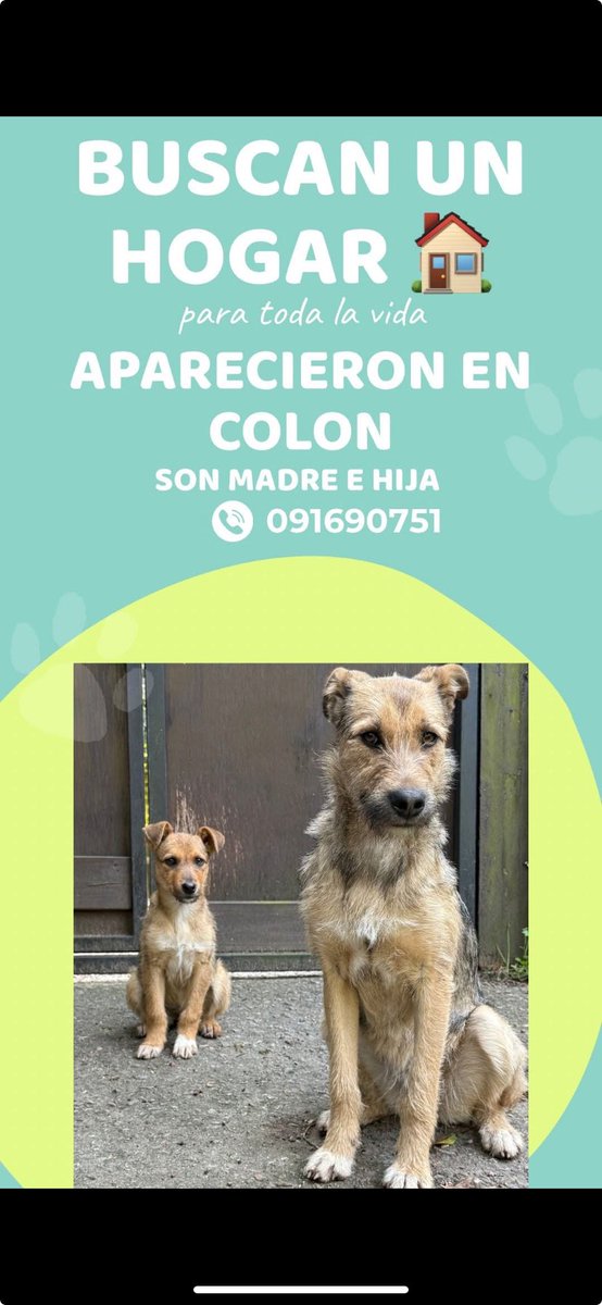 Adriana (@adriana43587622) on Twitter photo 